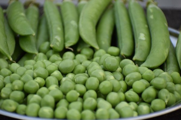 Green Peas