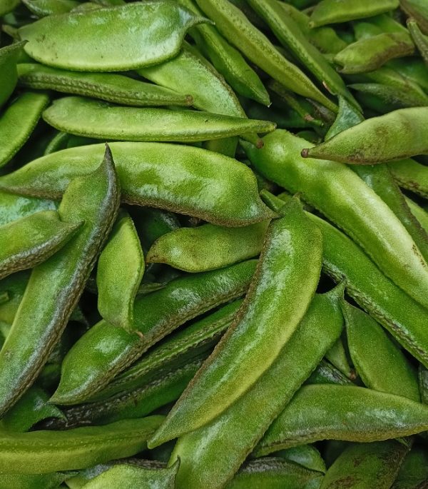 Runner Beans