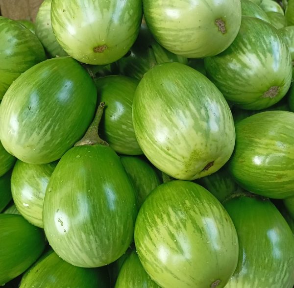 Brinjal (Green)